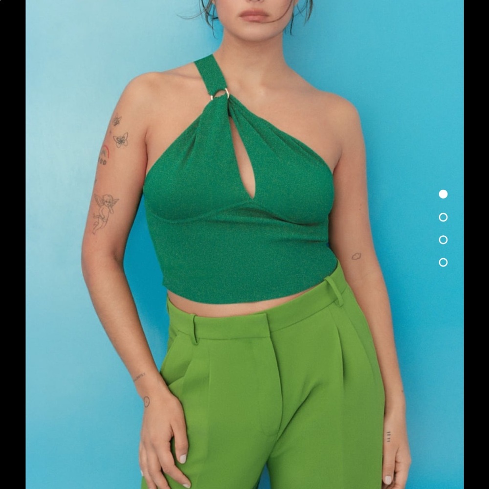 Zara crop top
